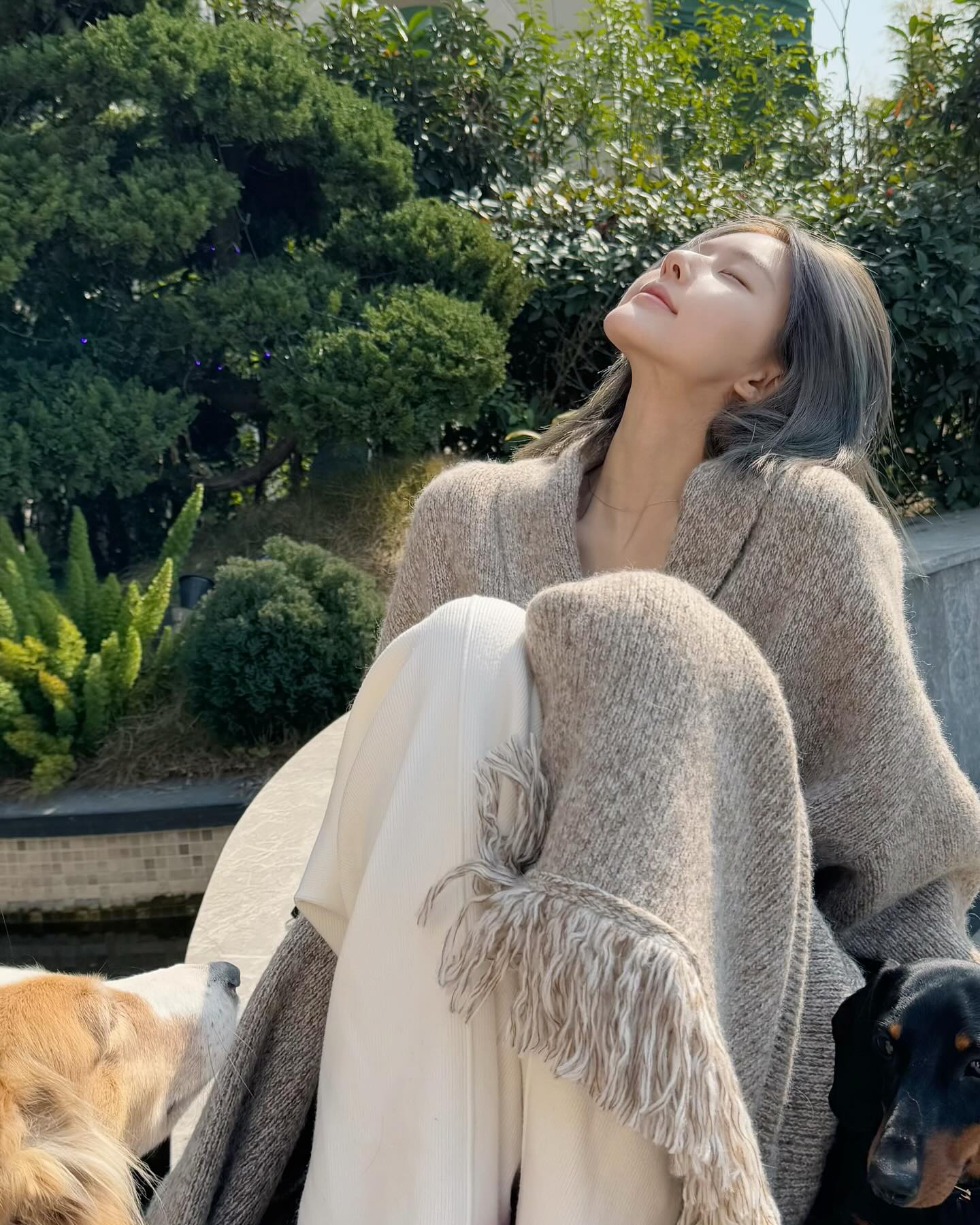 จ้าวลู่ซือ ล่าสุด