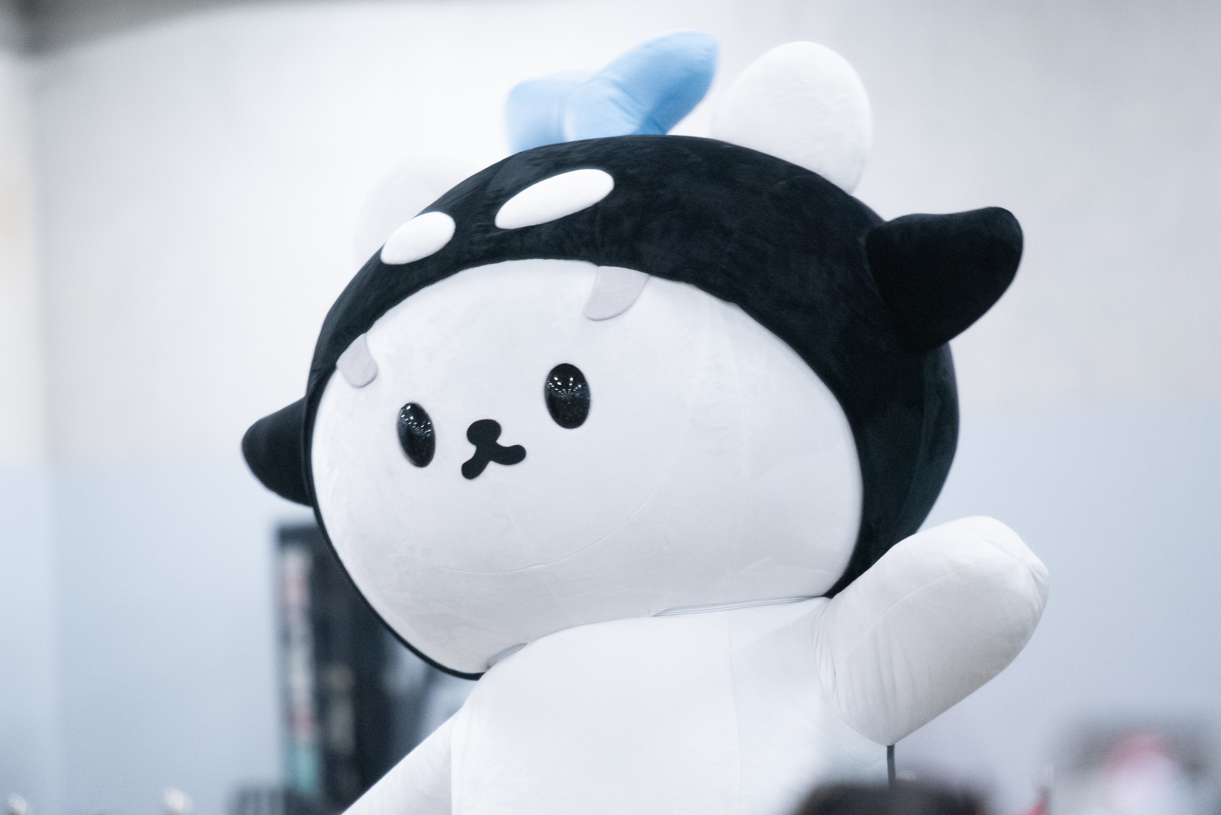 ยัยซัง-โพก้าซัง-POLCASAN