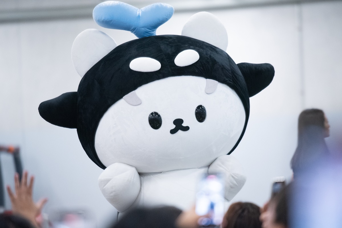 ยัยซัง-โพก้าซัง-POLCASAN