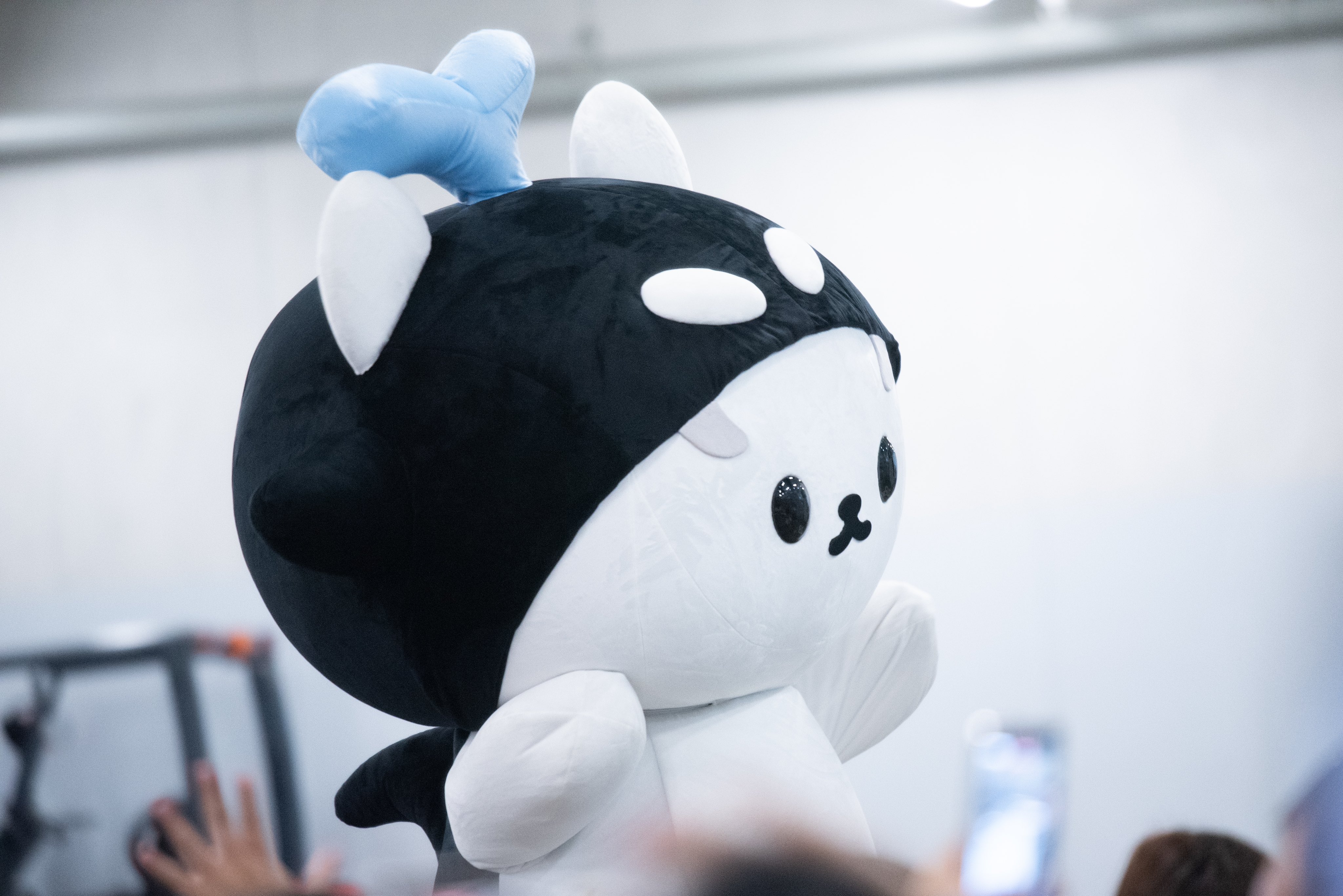 ยัยซัง-โพก้าซัง-POLCASAN