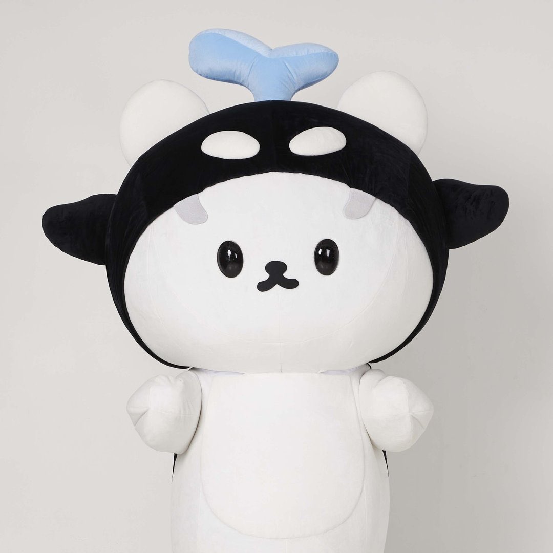 ยัยซัง-โพก้าซัง-POLCASAN