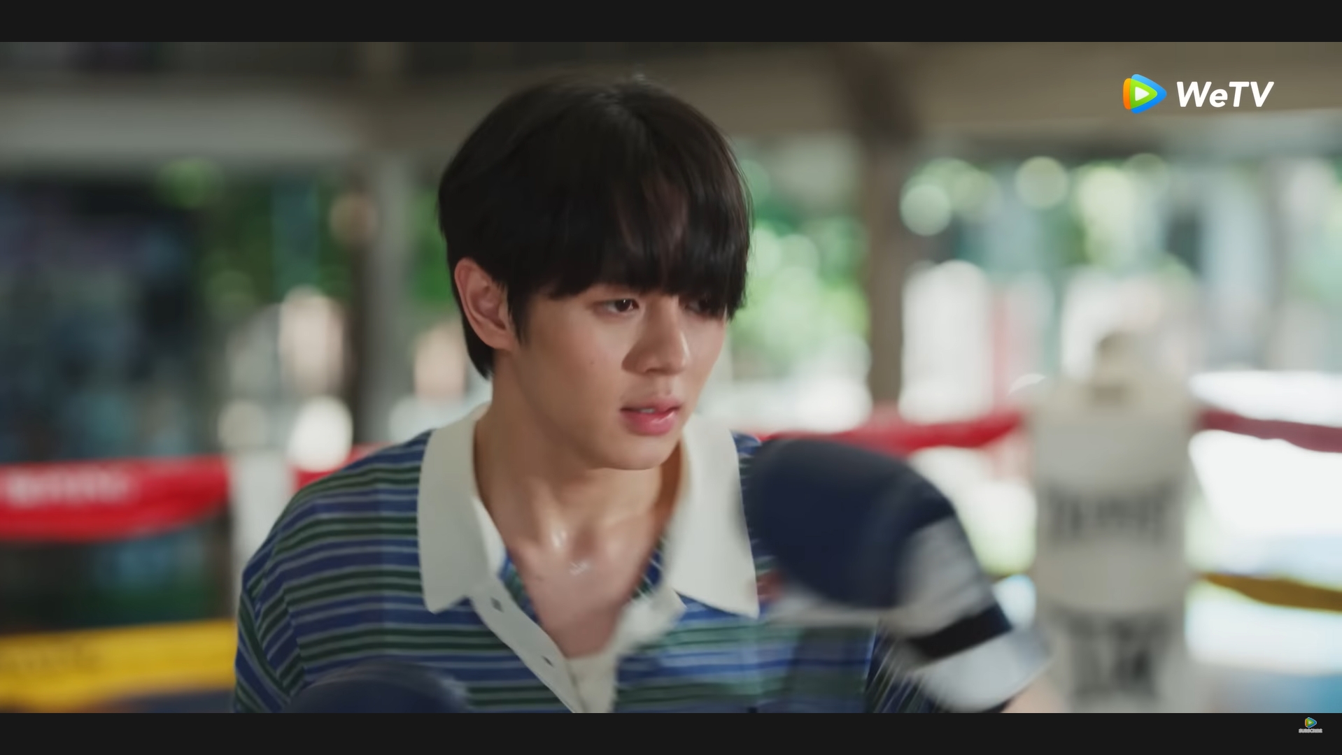 knock out หมัดน็อกล็อกหัวใจ