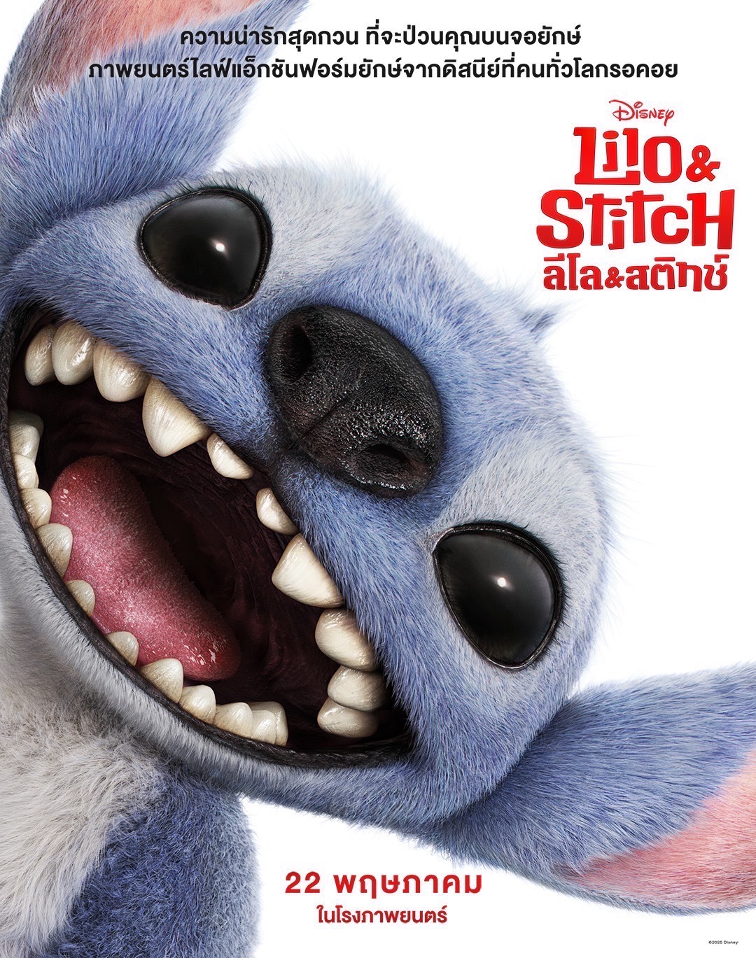 lilo & stitch ลีโลแอนด์สติทช์