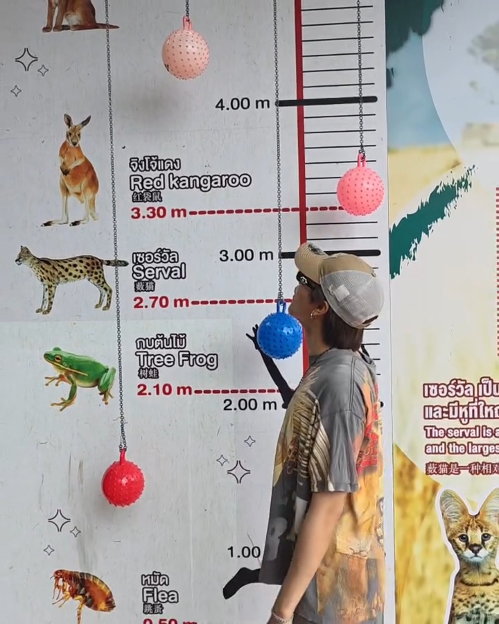 สกาย-นานิ เที่ยวทริปเชียงใหม่