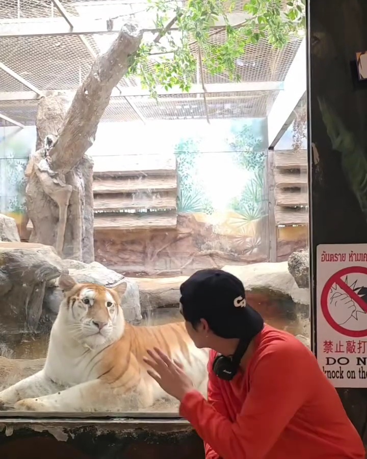 สกาย-นานิ เที่ยวทริปเชียงใหม่