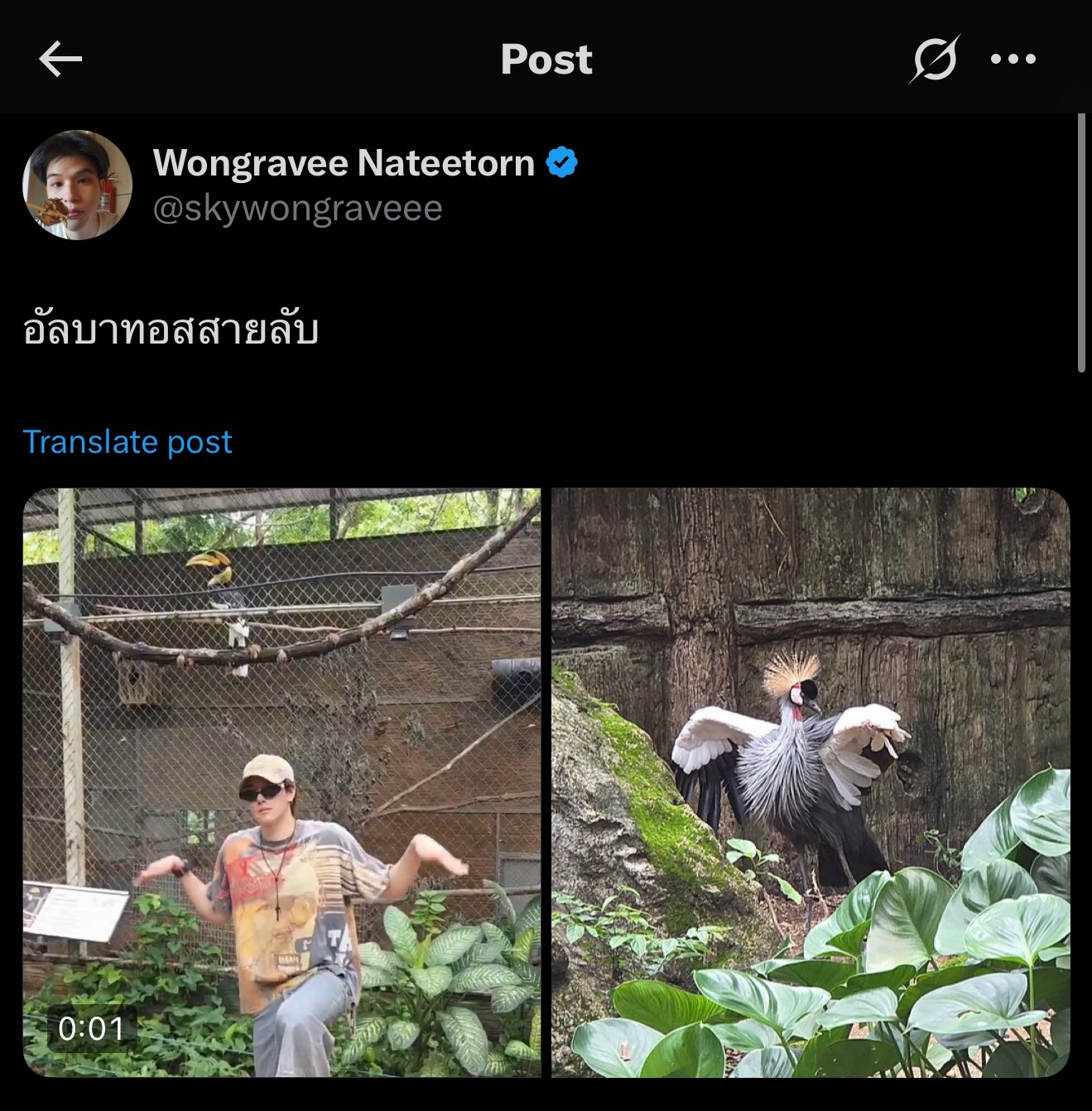 สกาย-นานิ เที่ยวทริปเชียงใหม่