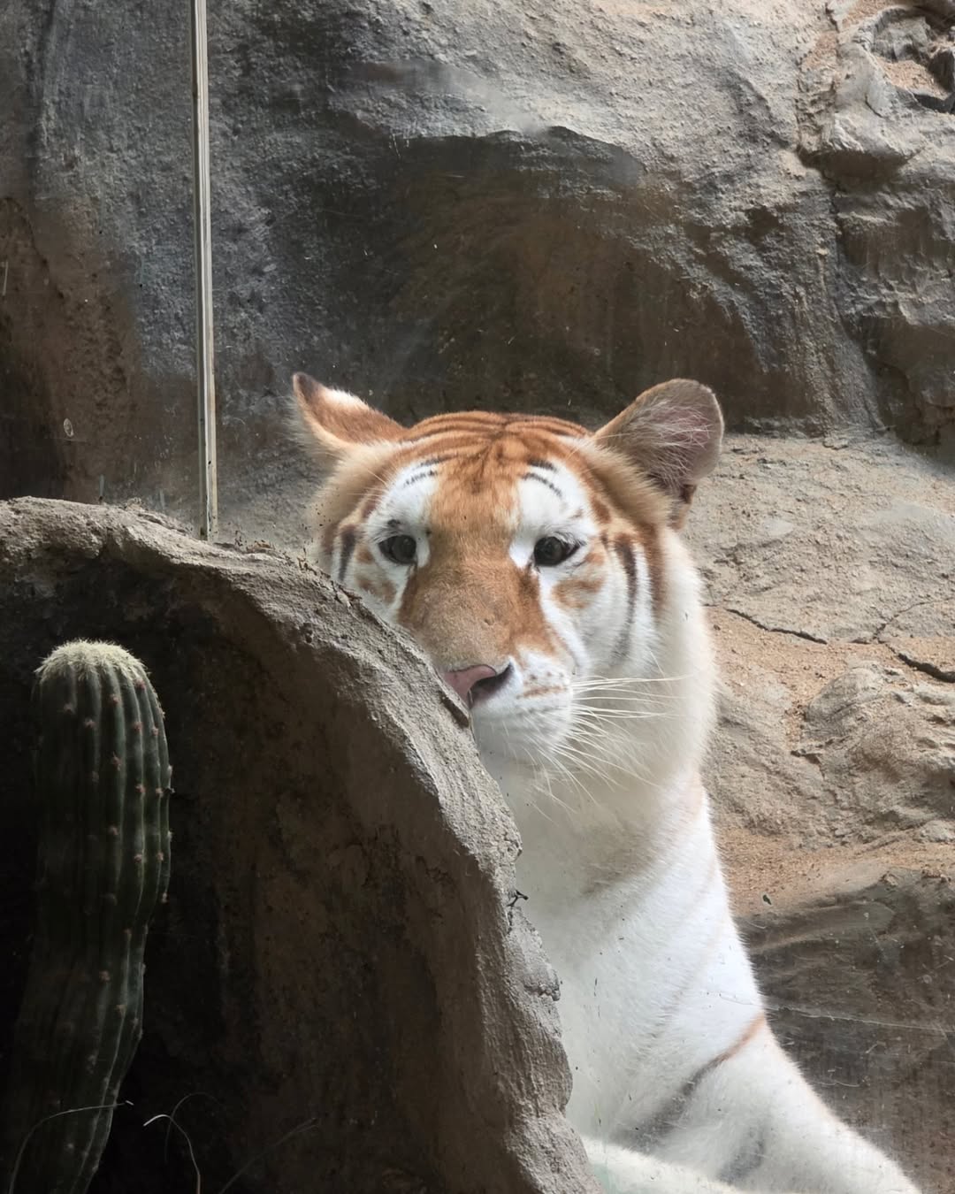 สกาย-นานิ เที่ยวทริปเชียงใหม่