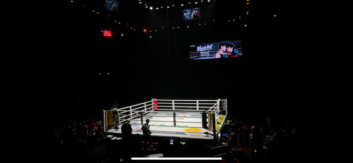 knock out สนามมวย