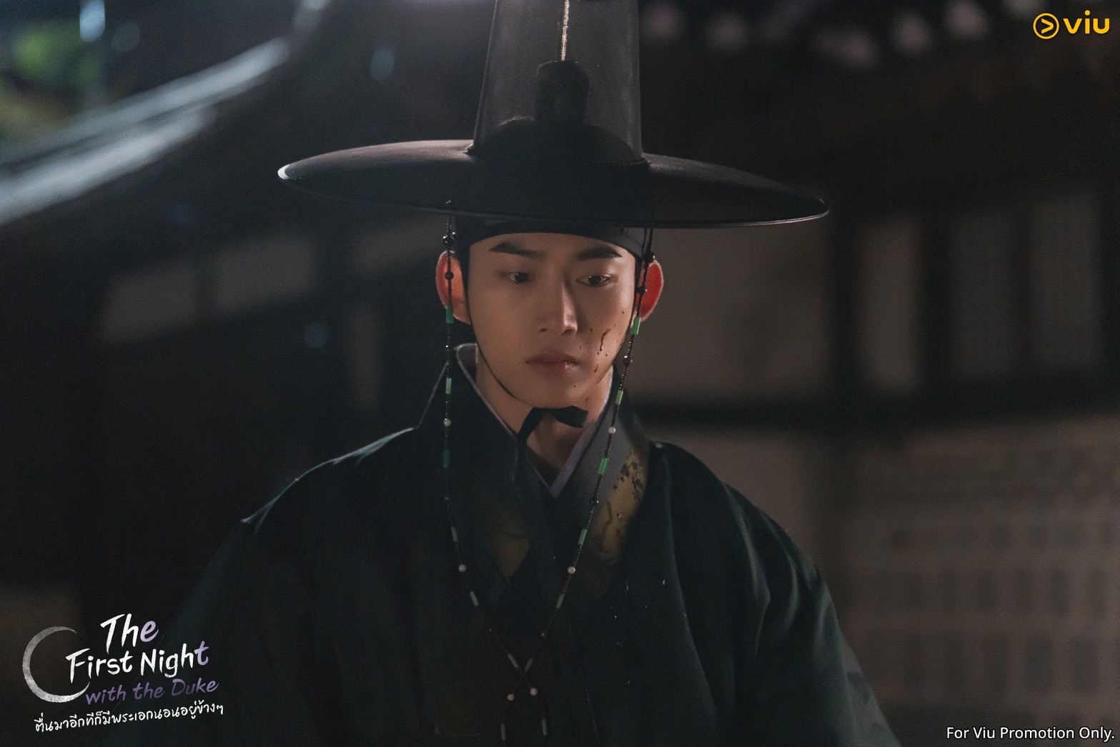 ตื่นมาอีกทีก็มีพระเอกนอนอยู่ข้างๆ The First Night With the Duke 