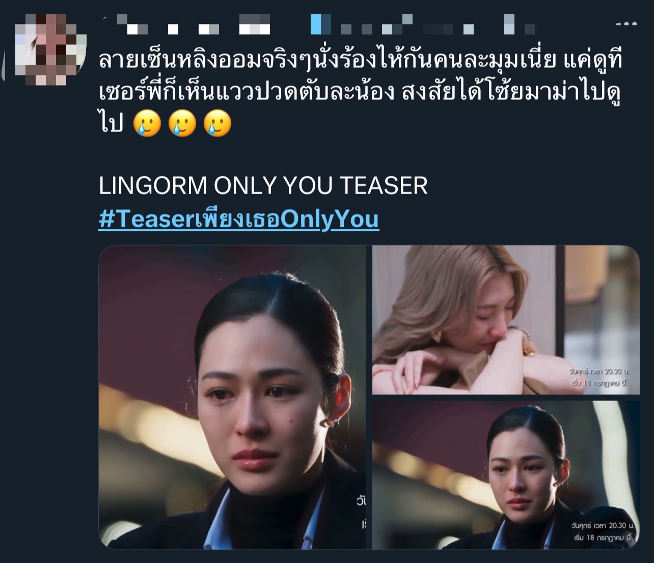 เพียงเธอ Only You The Series