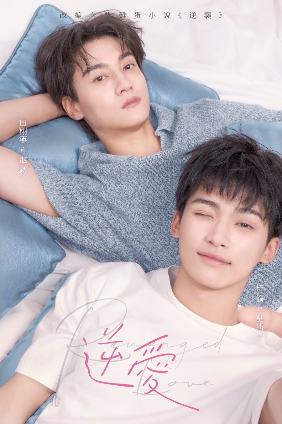 เรื่องย่อซีรีส์จีน ศัตรูหัวใจ คือแฟนใหม่ผมเอง Revenged Love