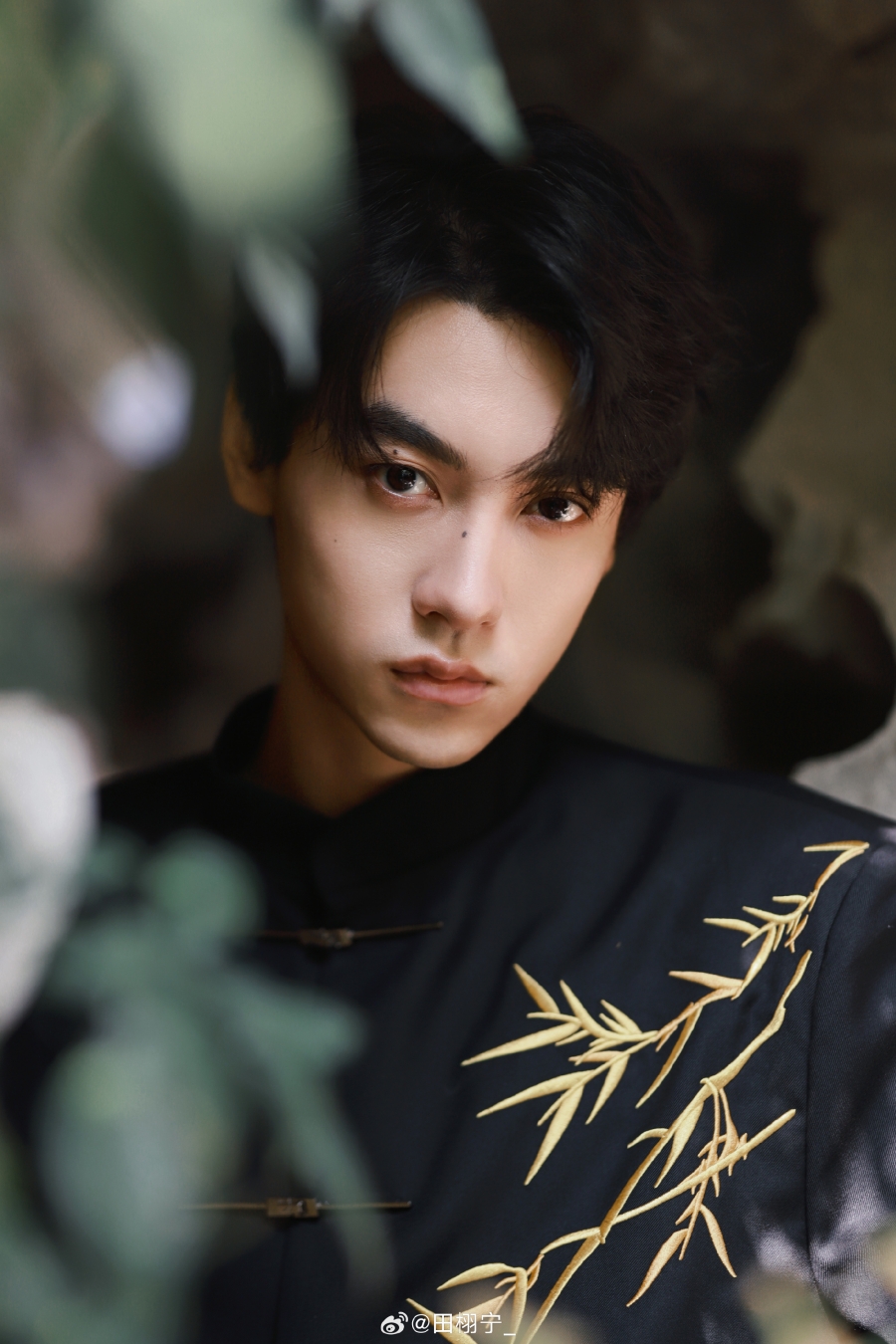 ประวัติ เถียนสวี่หนิง (Tian Xu Ning)