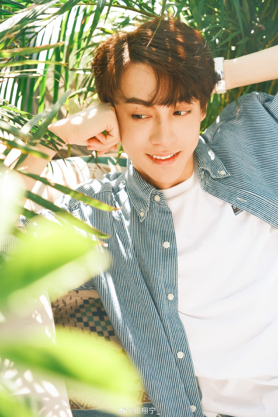 ประวัติ เถียนสวี่หนิง (Tian Xu Ning)