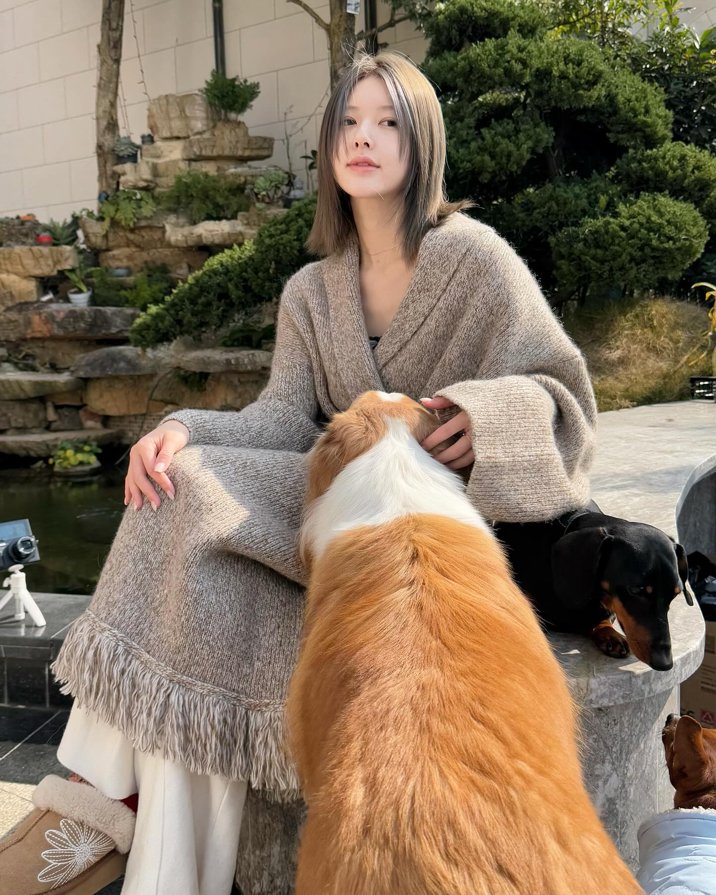 จ้าวลู่ซือ ตอนเริ่มเข้าวงการ