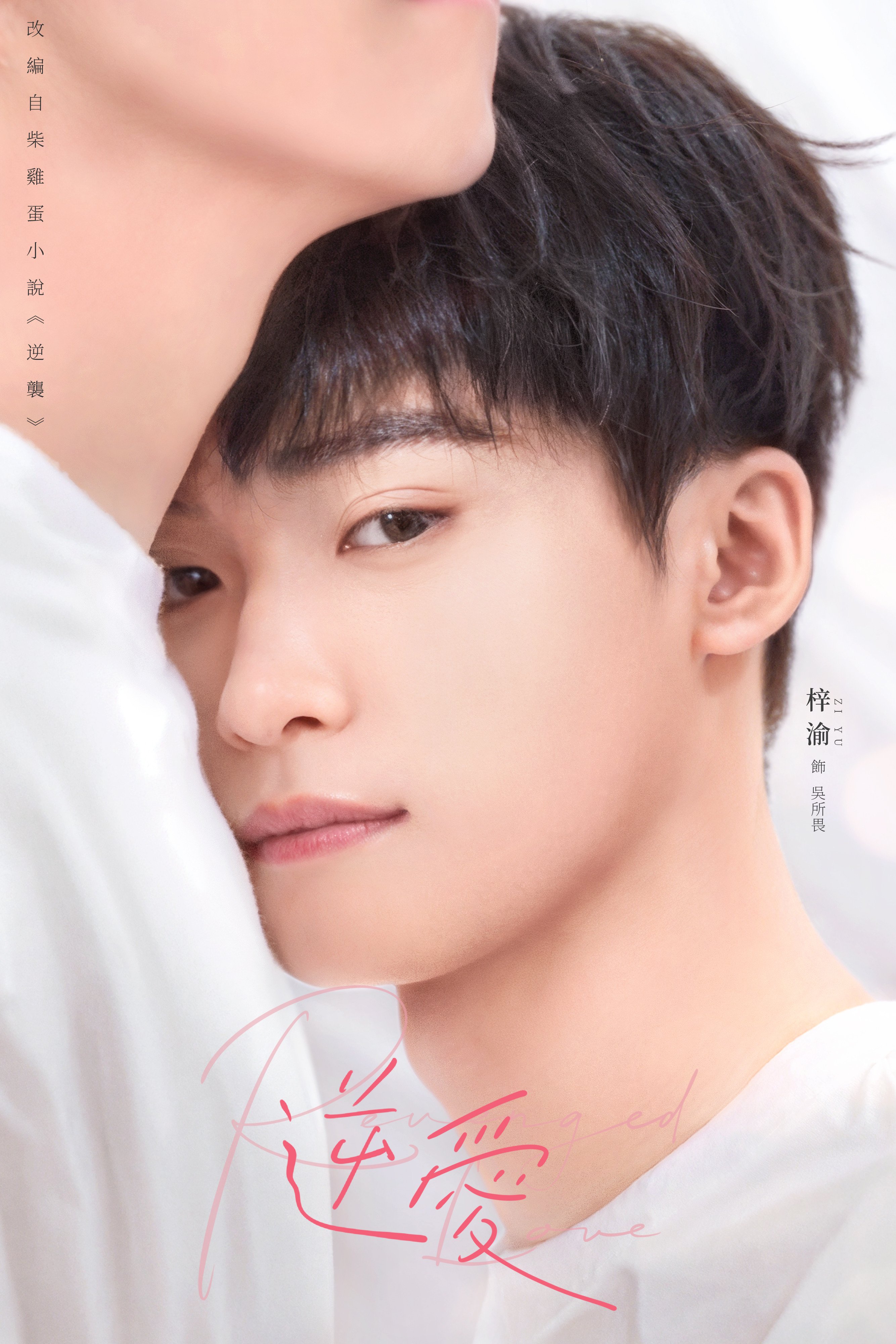 นักแสดงนำ Revenged Love ศัตรูหัวใจ คือแฟนใหม่ผมเอง 