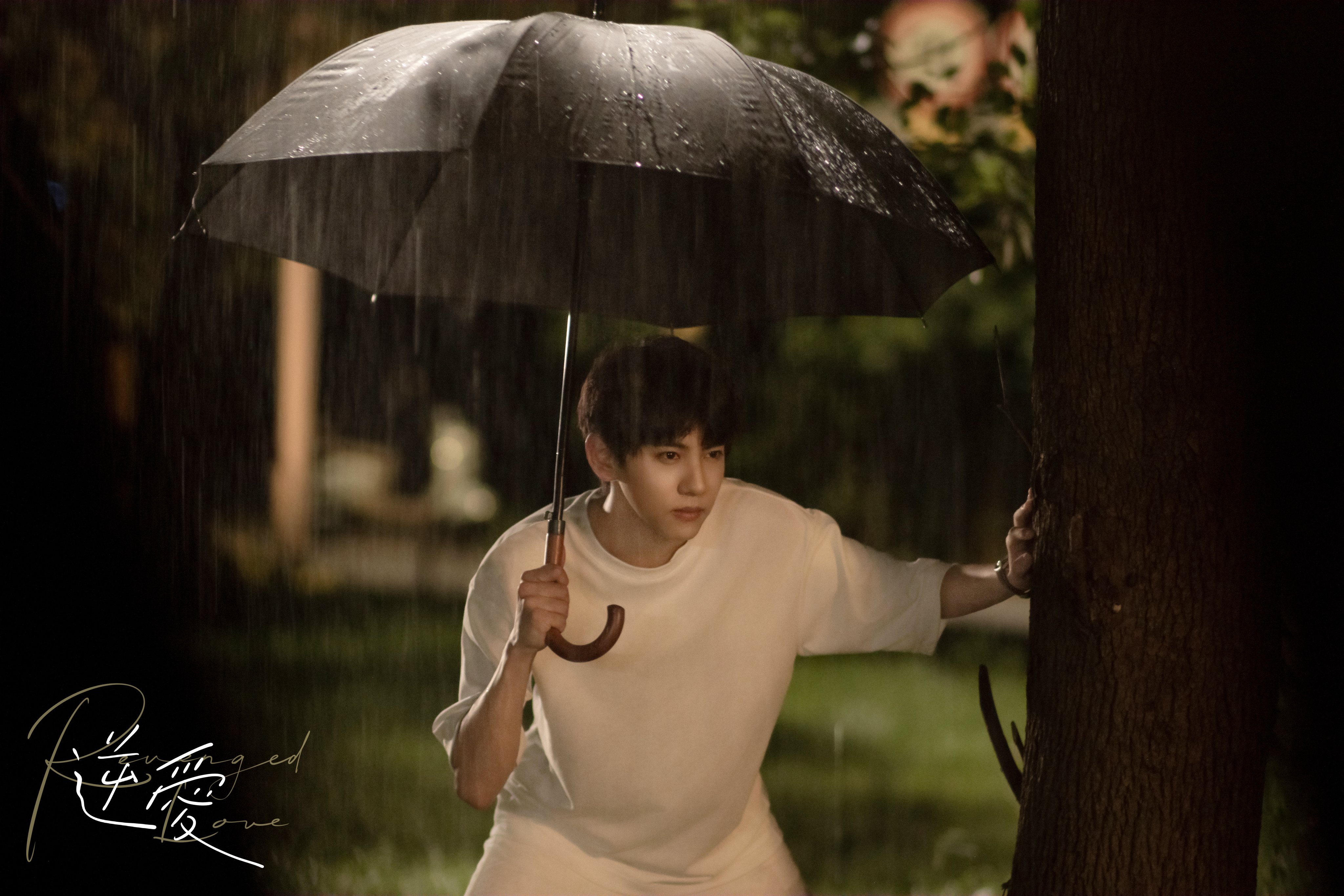 นักแสดงนำ Revenged Love ศัตรูหัวใจ คือแฟนใหม่ผมเอง 