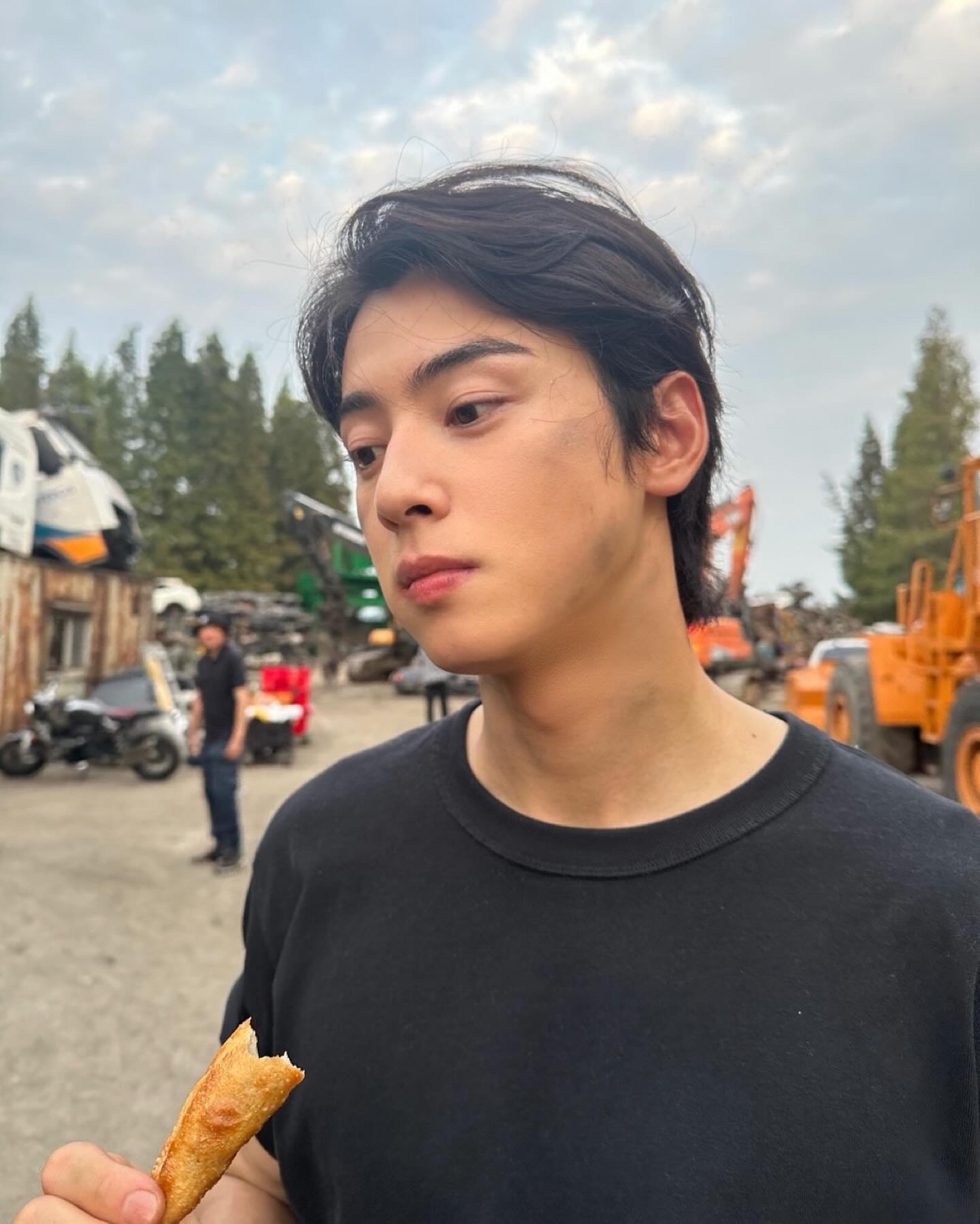 ชาอึนอูเข้ากรม