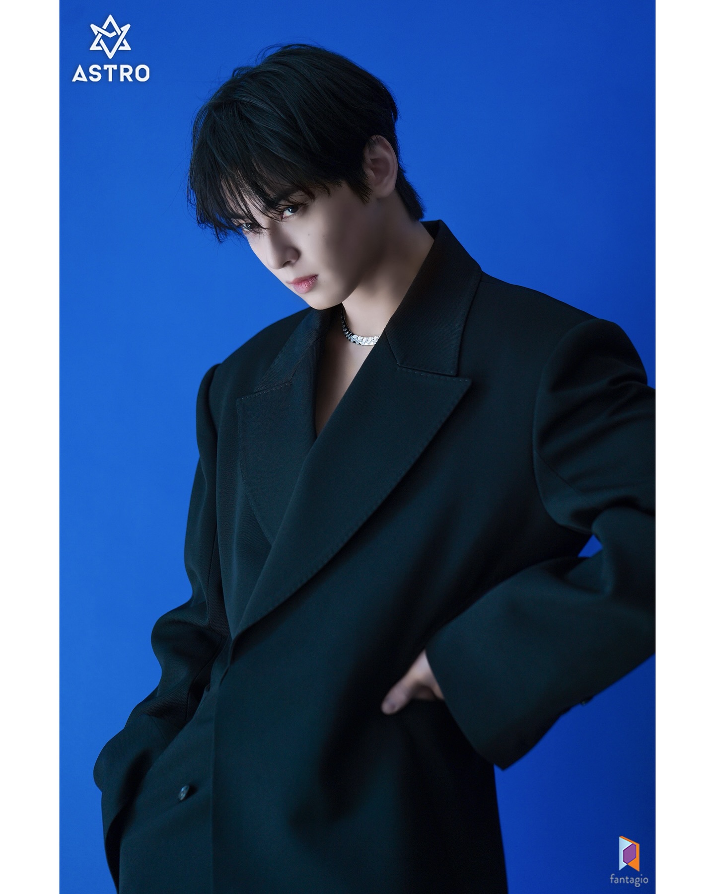 ชาอึนอูเข้ากรม