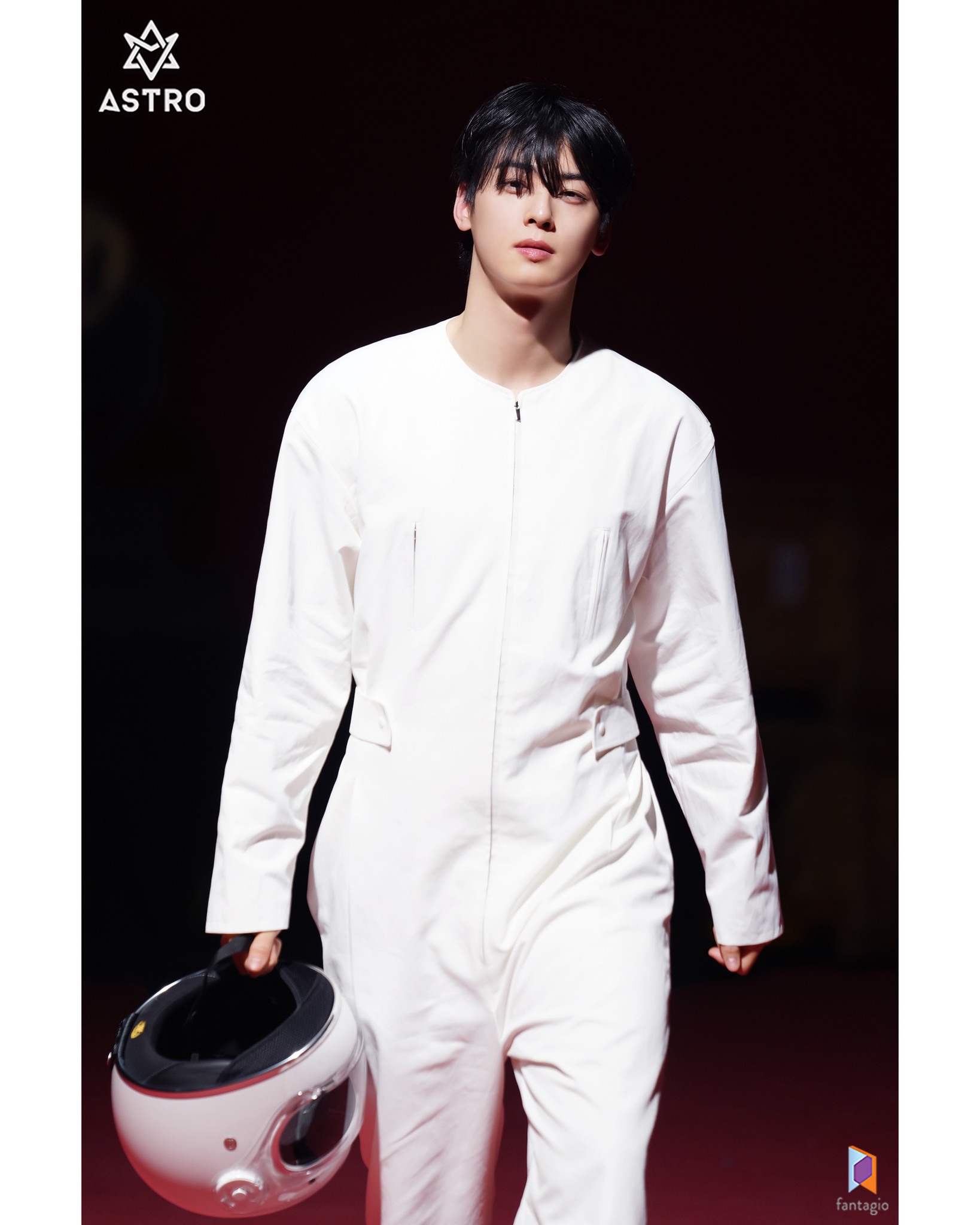 ชาอึนอูเข้ากรม