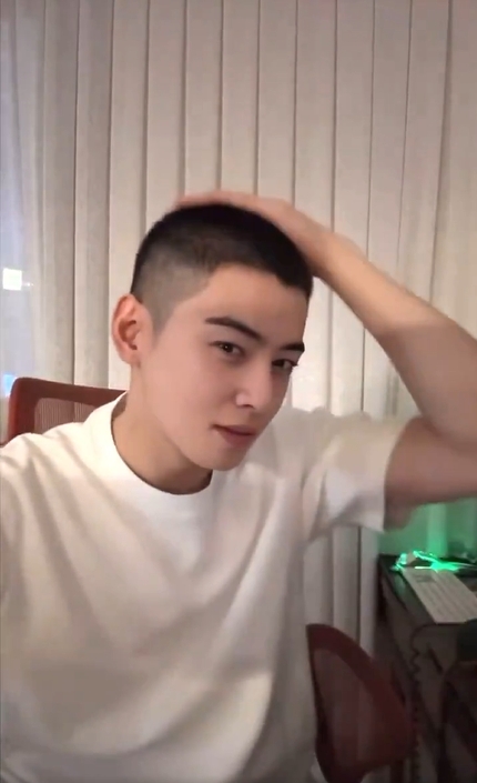 ชาอึนอูเข้ากรม