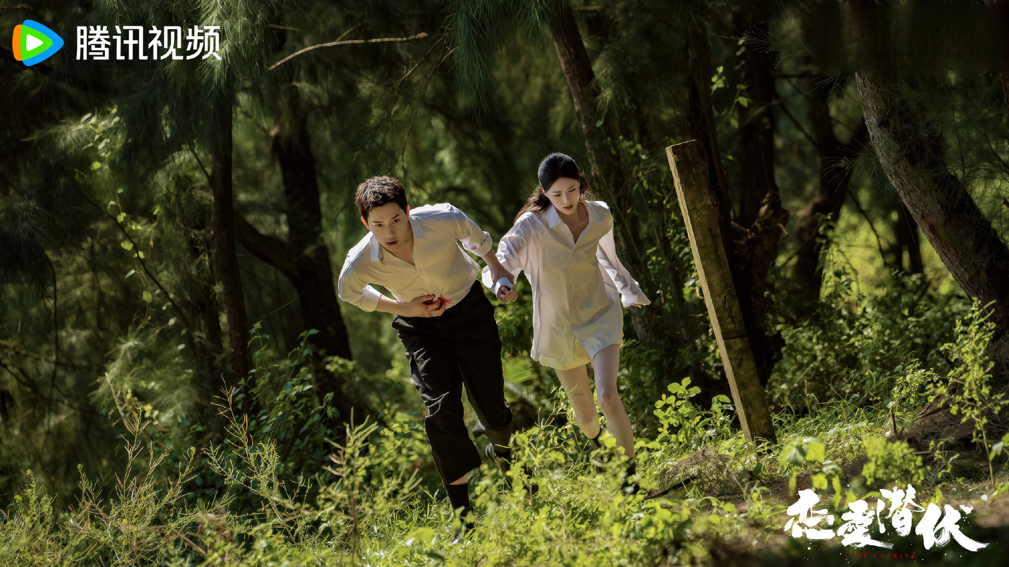 เรื่องย่อ หัวใจซ่อนเงา  Love Lurking