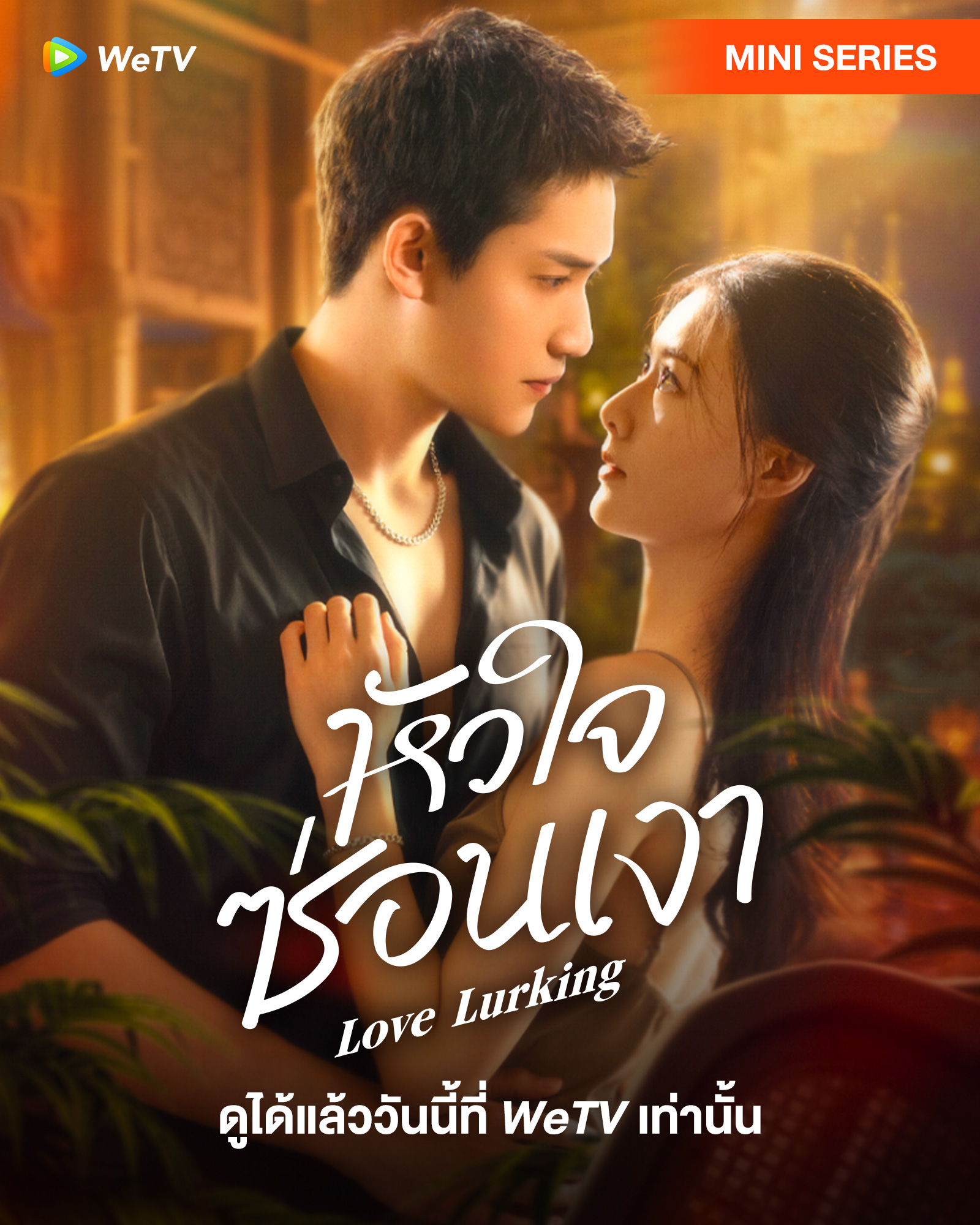 เรื่องย่อ หัวใจซ่อนเงา  Love Lurking