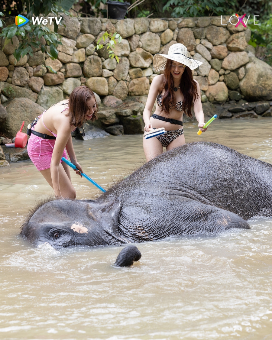 รักไร้ขอบเขต LOVE (X)