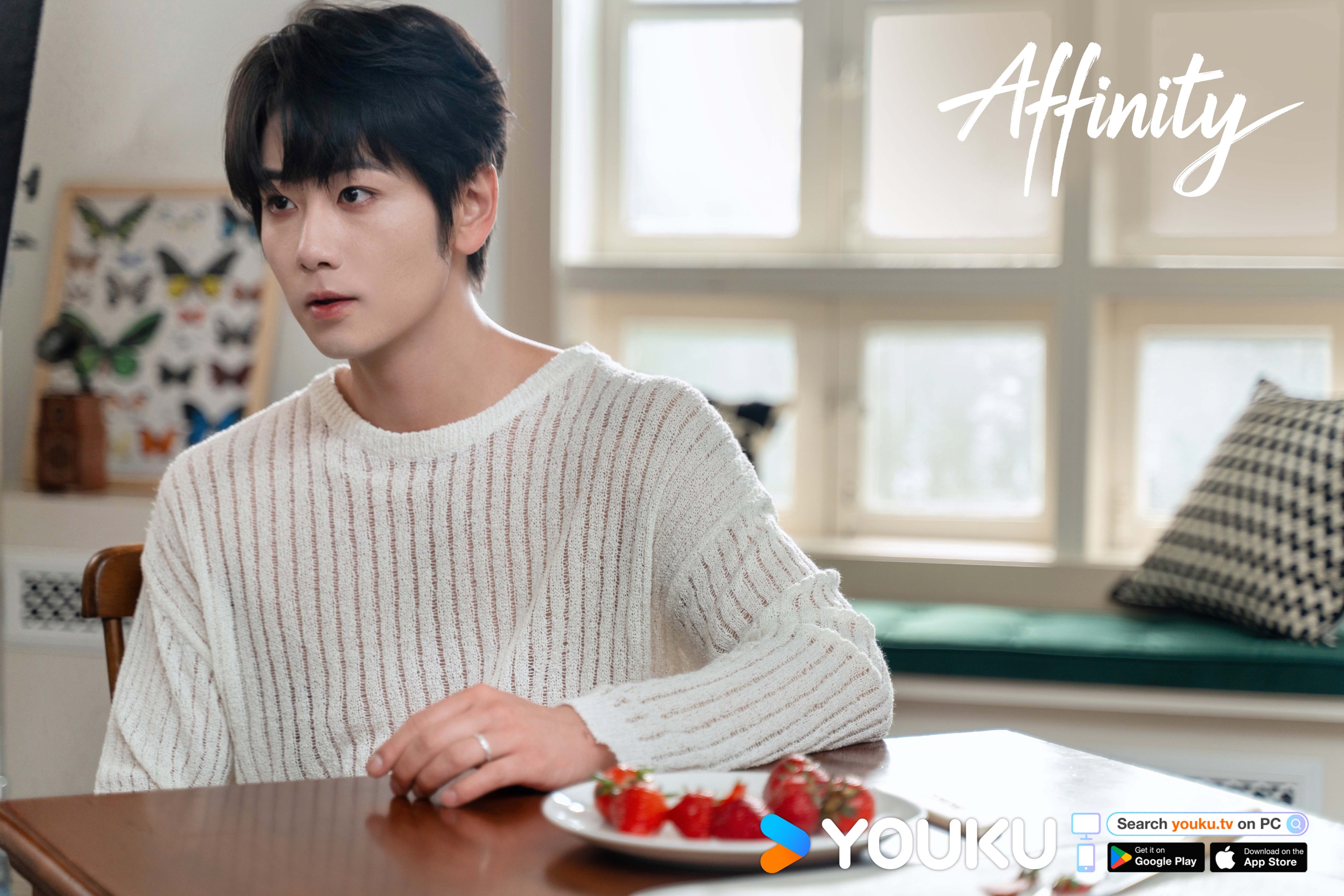 เรื่องย่อซีรีส์จีน โอบรักแรงเสน่หา  Affinity