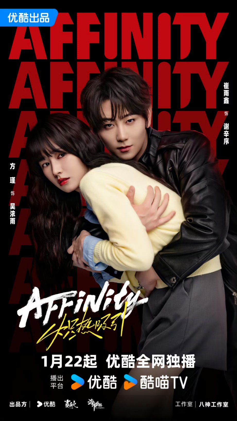 เรื่องย่อซีรีส์จีน โอบรักแรงเสน่หา  Affinity