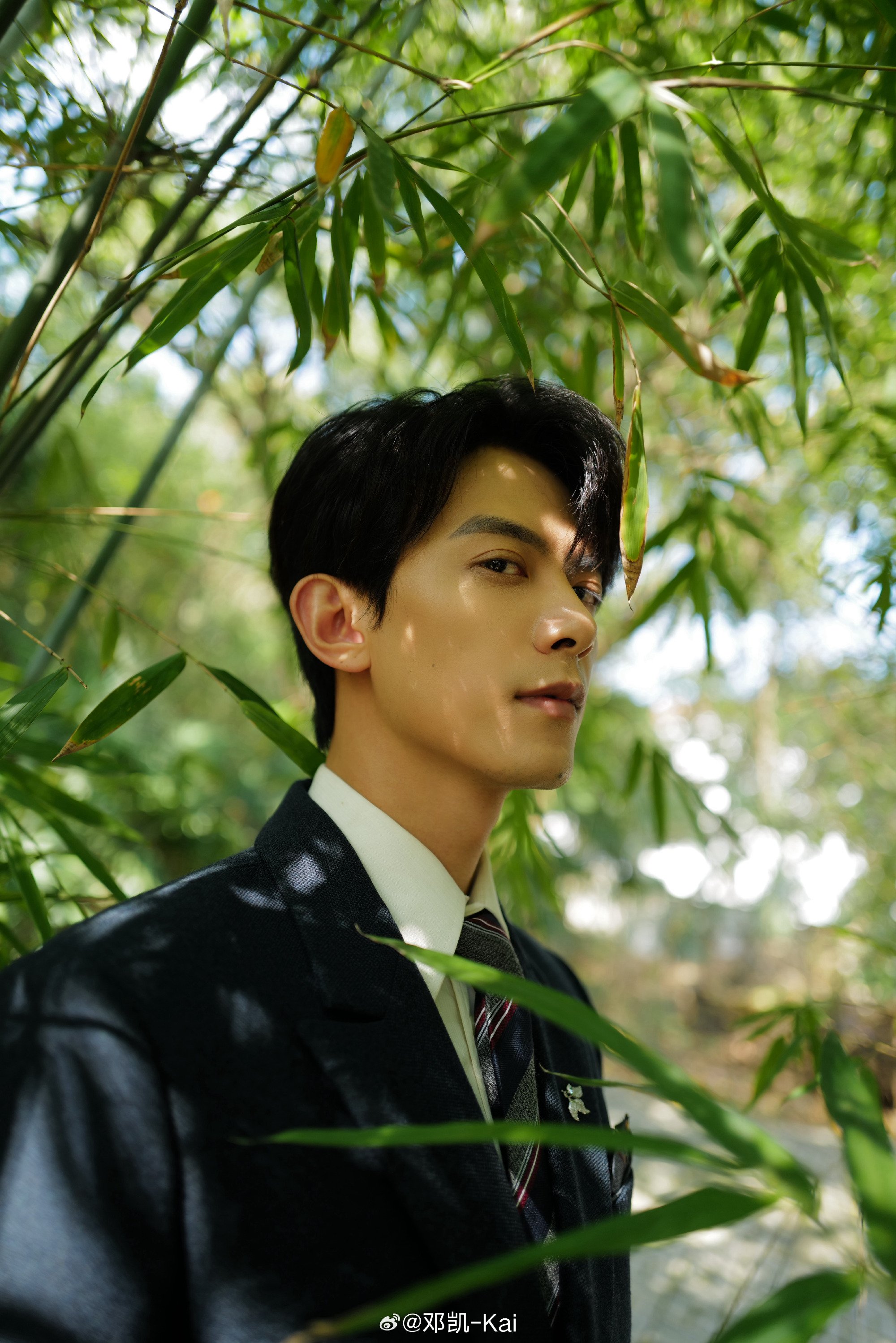 ประวัตินักแสดง เติ้งข่าย deng kai