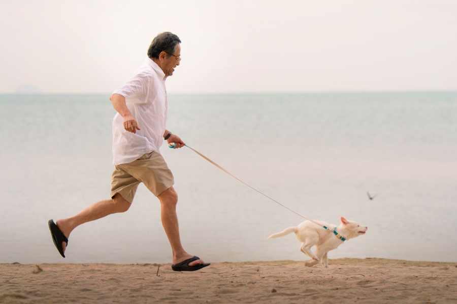 โกฮัง..หัวใจโกโฮม