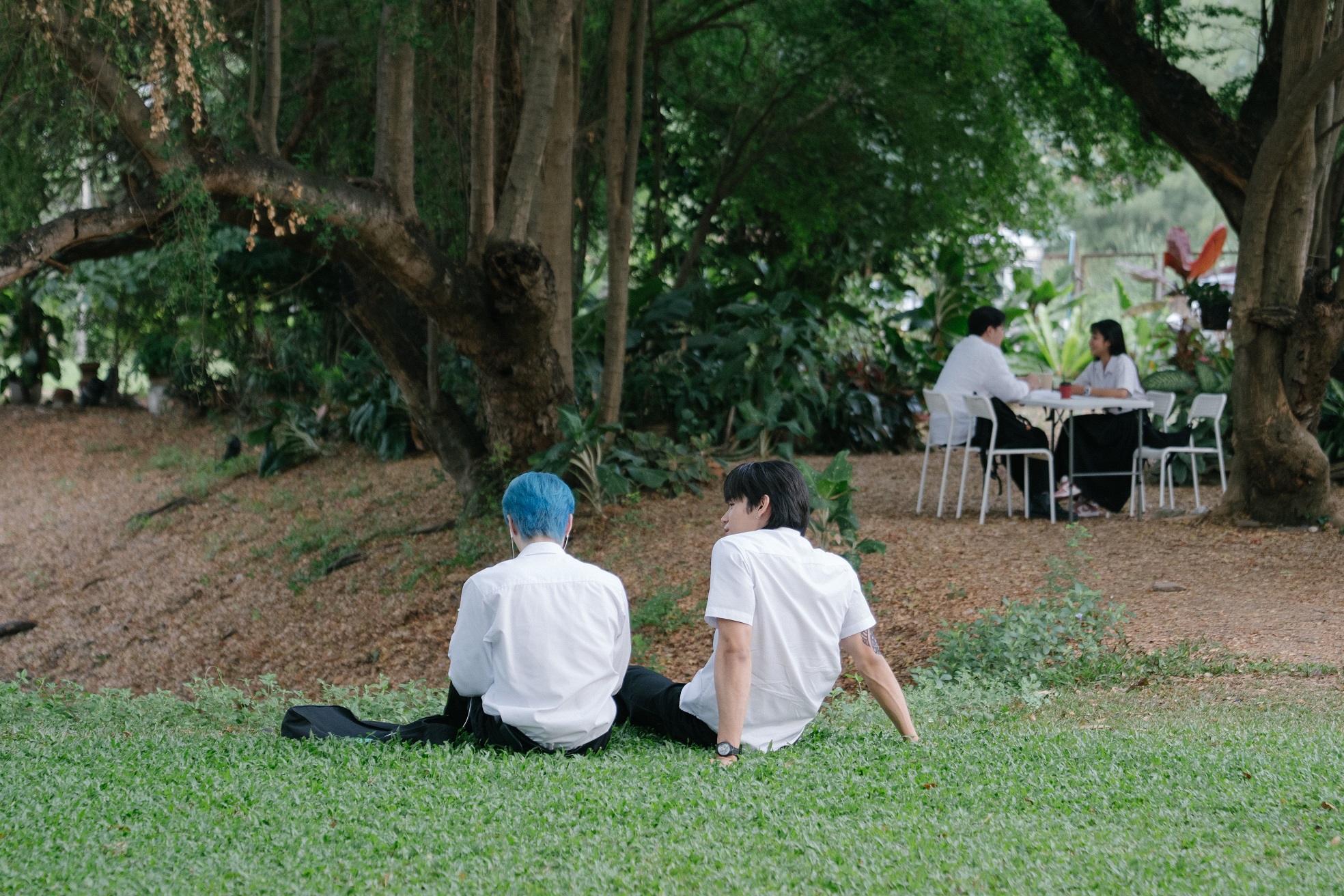 Fourever You Part 2 : The Sun From Another Star อาทิตย์ดาวตก