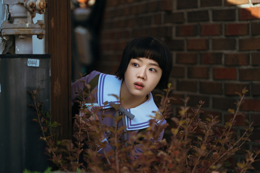 Absolute Value of Romance