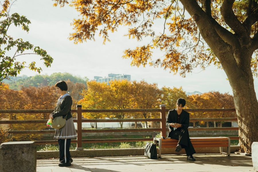 Absolute Value of Romance