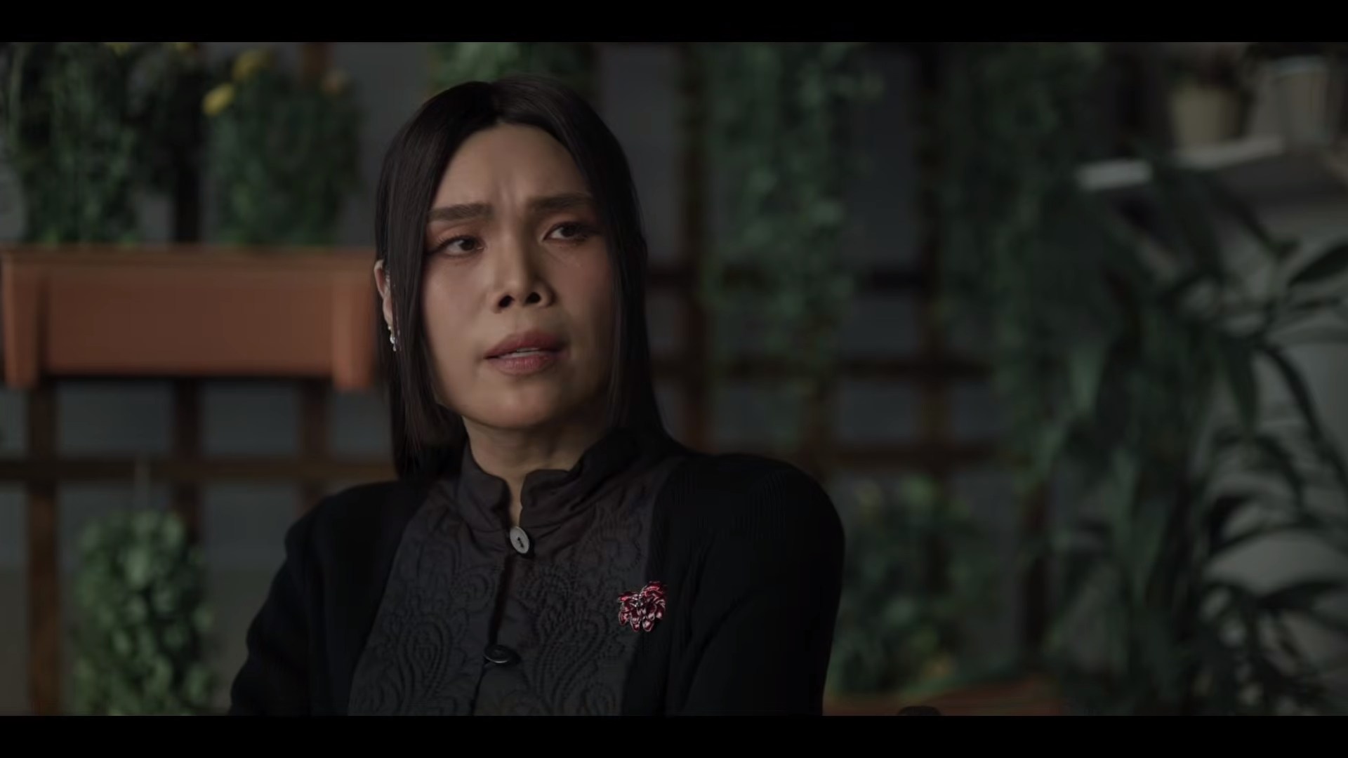 wu the series