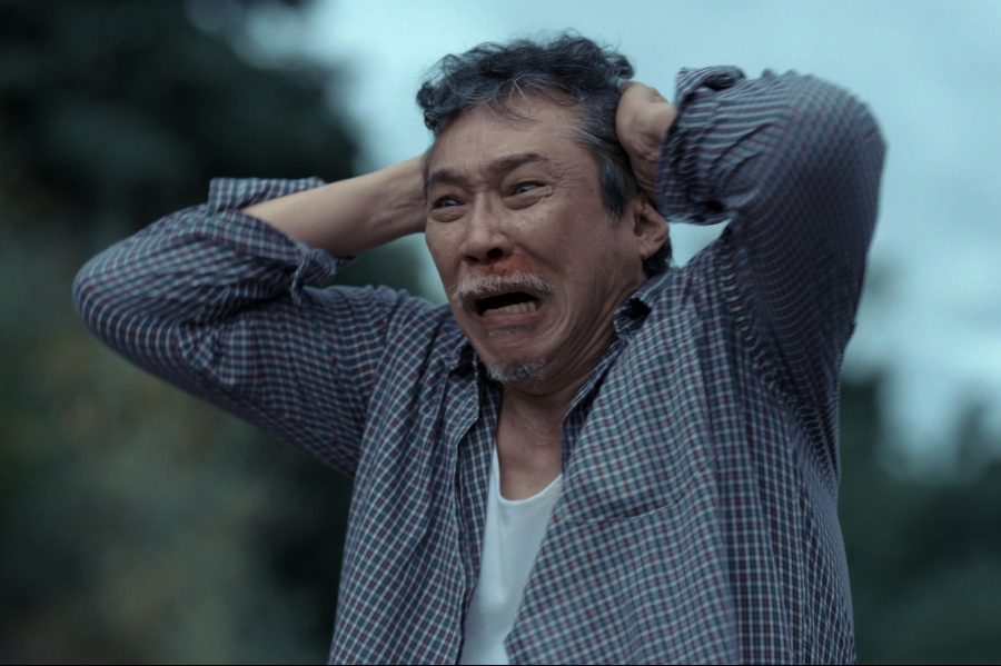 ภาพลวงตาย