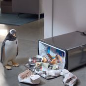 หนัง Mr.Popper's Penguins