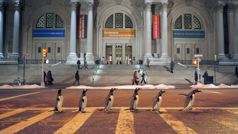 หนัง Mr.Popper's Penguins