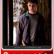 หนัง Harry Potter and the Half - Blood Prince Prince