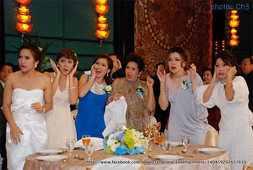 เรื่องย่อละคร ปลาไหลป้ายแดง