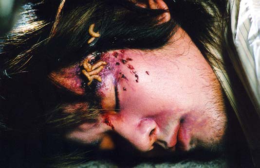 ปี 50 ปีทอง ลีโอ พุฒ