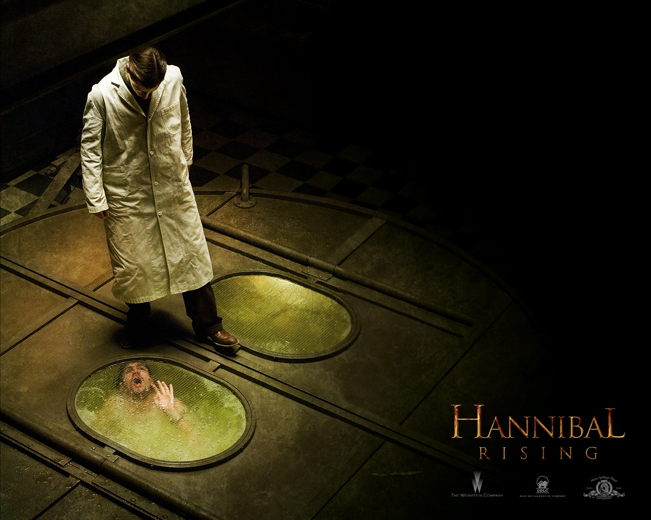 Hannibal Rising