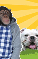 ปังคุง & เจมส์ : ขำกลิ้งลิงกับหมา