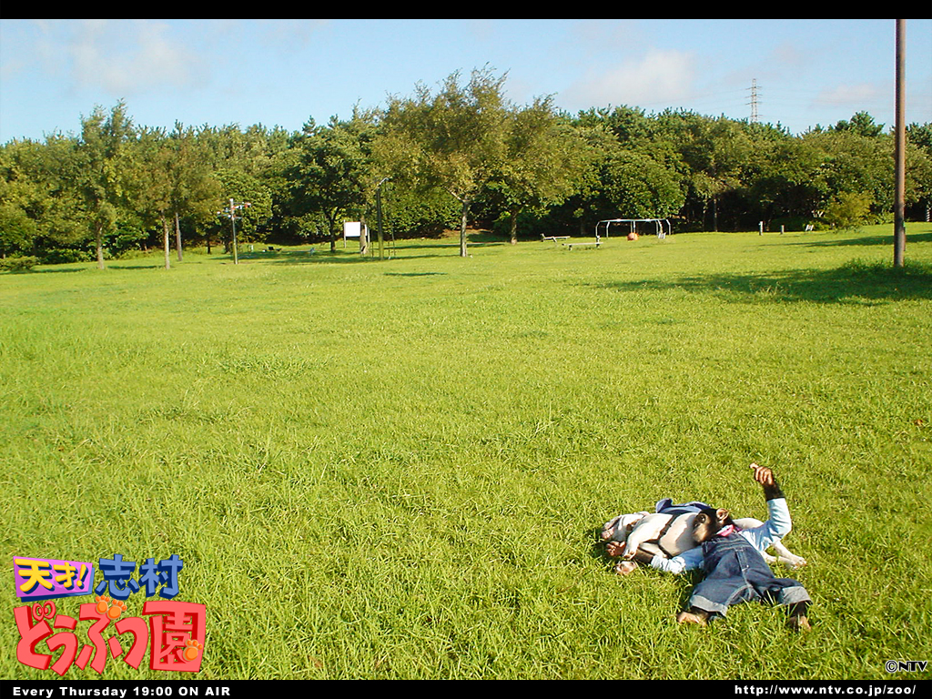 ปังคุง & เจมส์ : ขำกลิ้งลิงกับหมา