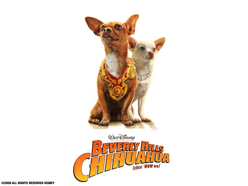 หนัง Beverly Hills Chihuahua