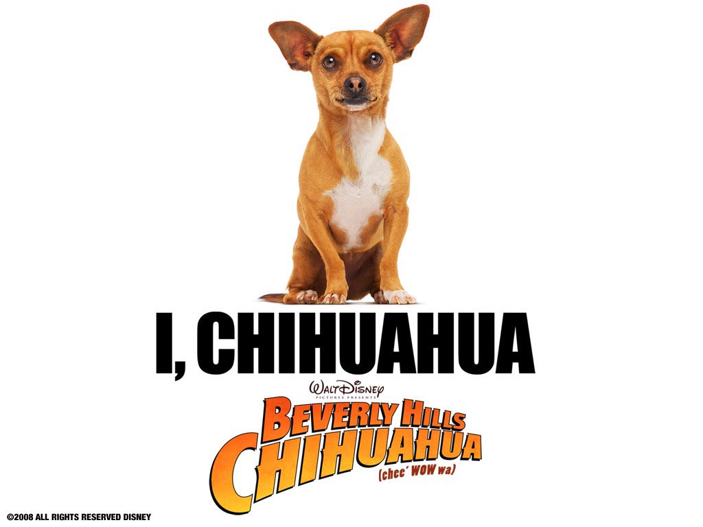 หนัง Beverly Hills Chihuahua