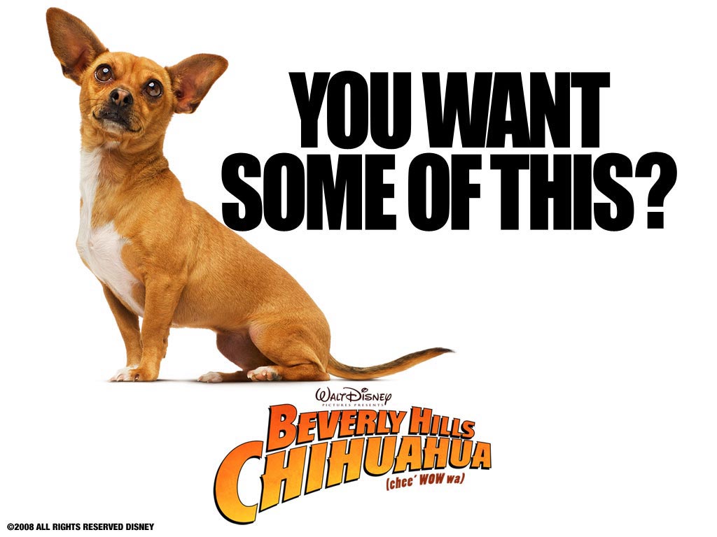 หนัง Beverly Hills Chihuahua