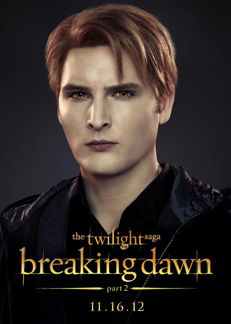 The Twilight Saga Breaking Dawn Part 2