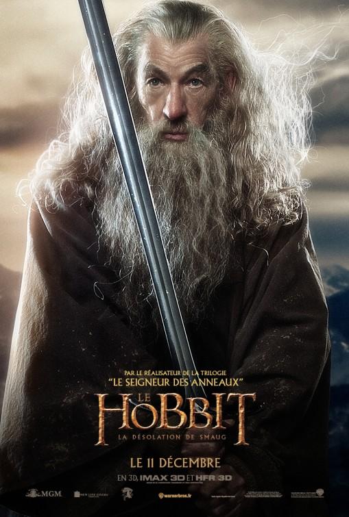 The Hobbit: The Desolation of Smaug