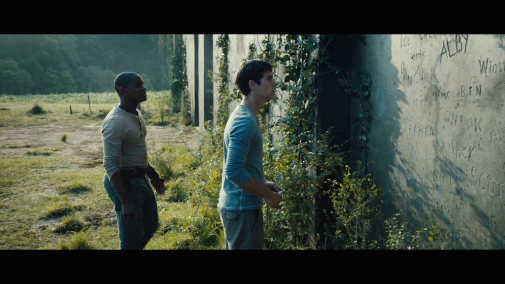 The Maze Runner